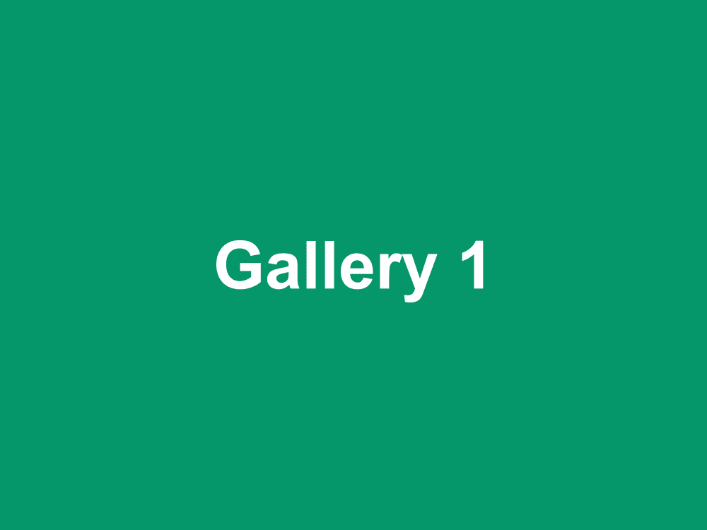 Placeholder gallery image 1