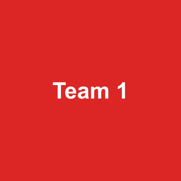 Placeholder team photo 1