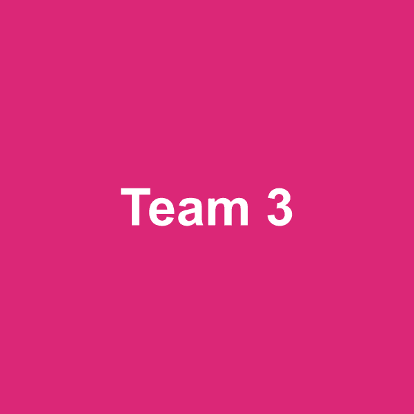 Placeholder team photo 3